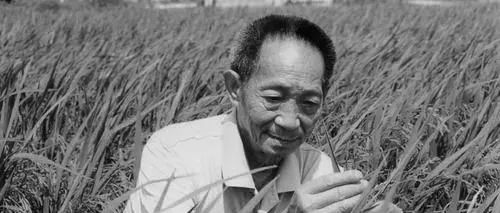 91岁袁隆平逝世：人生如逆旅，感谢他来过！