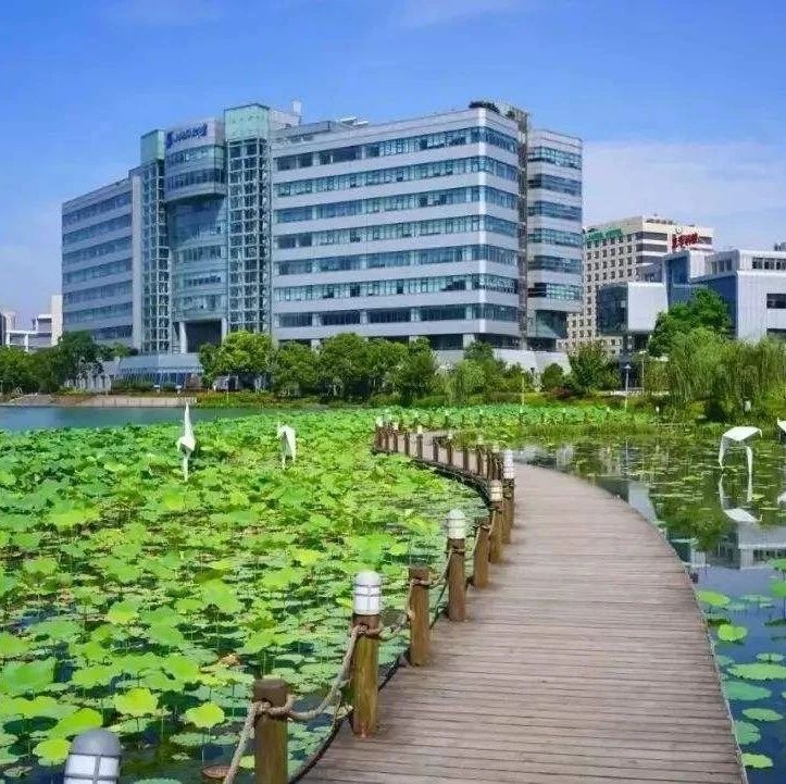 通知 | 关于印发《临​港新片区创新型产业规划》的通知