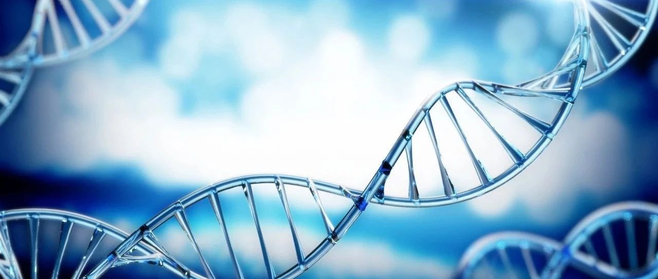 《科学》：施一公团队揭示剪接体的复合结构以及催化机制