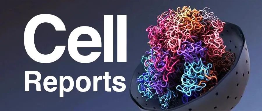 Cell Reports｜蛋白质组学揭示HDAC抑制剂的全局性调控机制