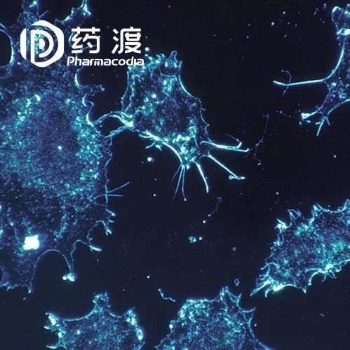 甘莱宣布THR-β激动剂ASC41 NASH适应症美国临床试验申请获批及全球开发计划的启动