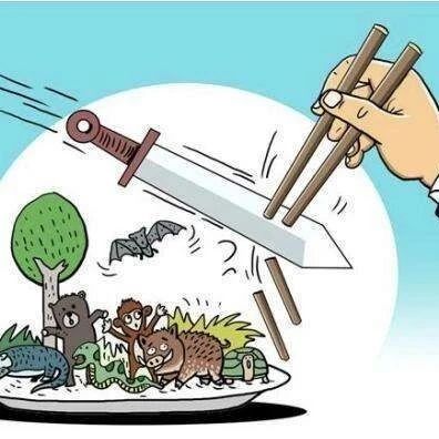 今日荐读丨省政府办公厅印发了《关于全面禁止非法交易和滥食野生动物妥善处置在养野生动物的意见》