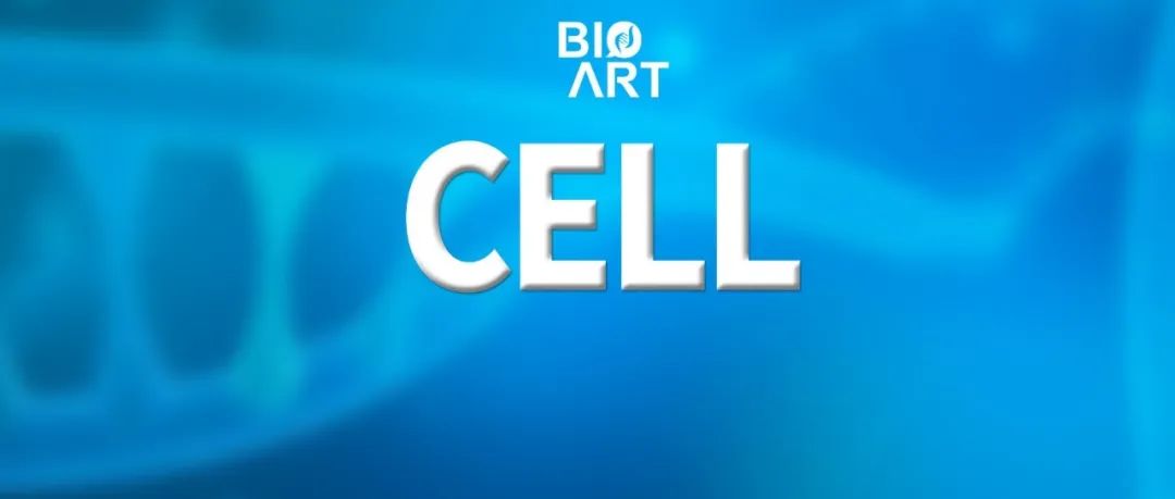 Cell | 翟元梁/党尚宇/戴碧瓘/陈春龙团队揭示人体细胞DNA复制起始新机制