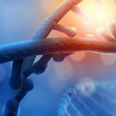 胖也可以很健康？新研究确定与高体脂低患病风险相关的基因