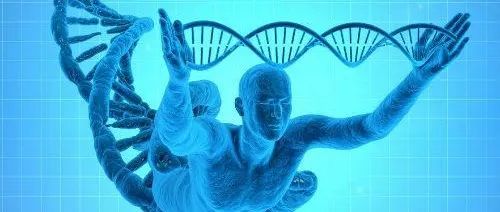 Batten病基因疗法获EMA孤儿药资格认定