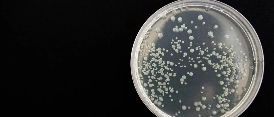 科学界新突破！Cell：科学家在人体肠道中鉴定出超过14万种病毒