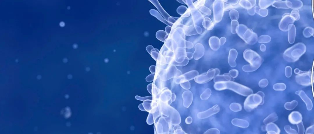 IPO早知道 | Janux Therapeutics：下一代TCE公司申请1亿美元IPO上市