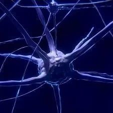 Nature: 研究揭示阿尔兹海默症的发生机制