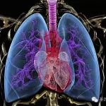 非小细胞肺癌辅助治疗研究进展