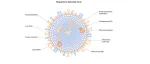 呼吸道合胞病毒mRNA疫苗研究进展