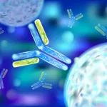 速递！君实生物/恩瑞尼生物抗CD39抗体临床申请获受理
