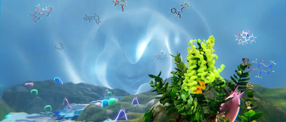 专家点评Science | 刘志杰/华甜团队解析首个人源苦味受体结构并揭示其信号转导机制中的至简大道