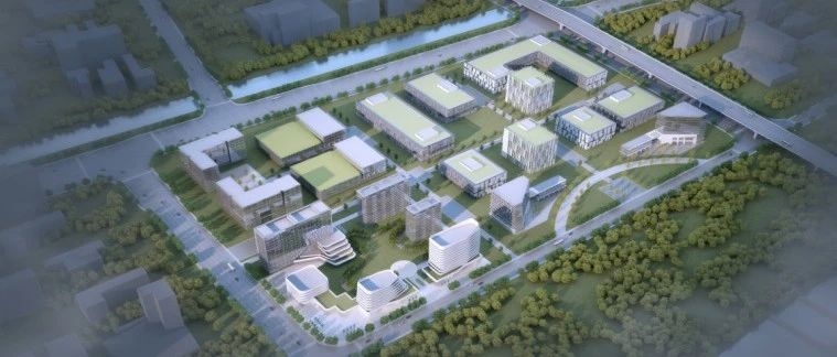龙湾·龙港区域战略合作！温州高新区龙港分园项目已启动一期建设