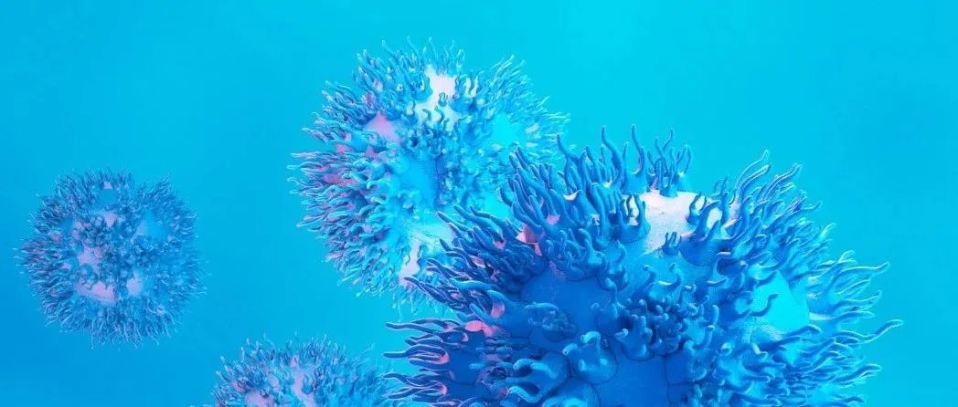 CD70 CAR-NK治疗实体瘤！CRISPR Therapeutics和Nkarta达成全球合作伙伴关系丨医麦猛爆料