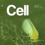 谢道昕、钱前点评 | Cell封面！20年磨一剑，张友军团队揭示烟粉虱广泛寄主适应性的分子机制