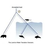 PLOS Pathog | 南京师范大学韩管助课题组在逆转录病毒进化研究取得重要进展