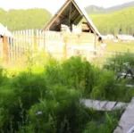 一个长期存在的光合作用争议结题了