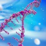 前沿 | 开启基因治疗新策略！刘如谦团队发布基因编辑系统新版本