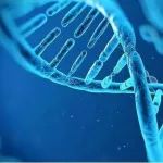 综述：生物制品中宿主细胞残留DNA检测的研究进展