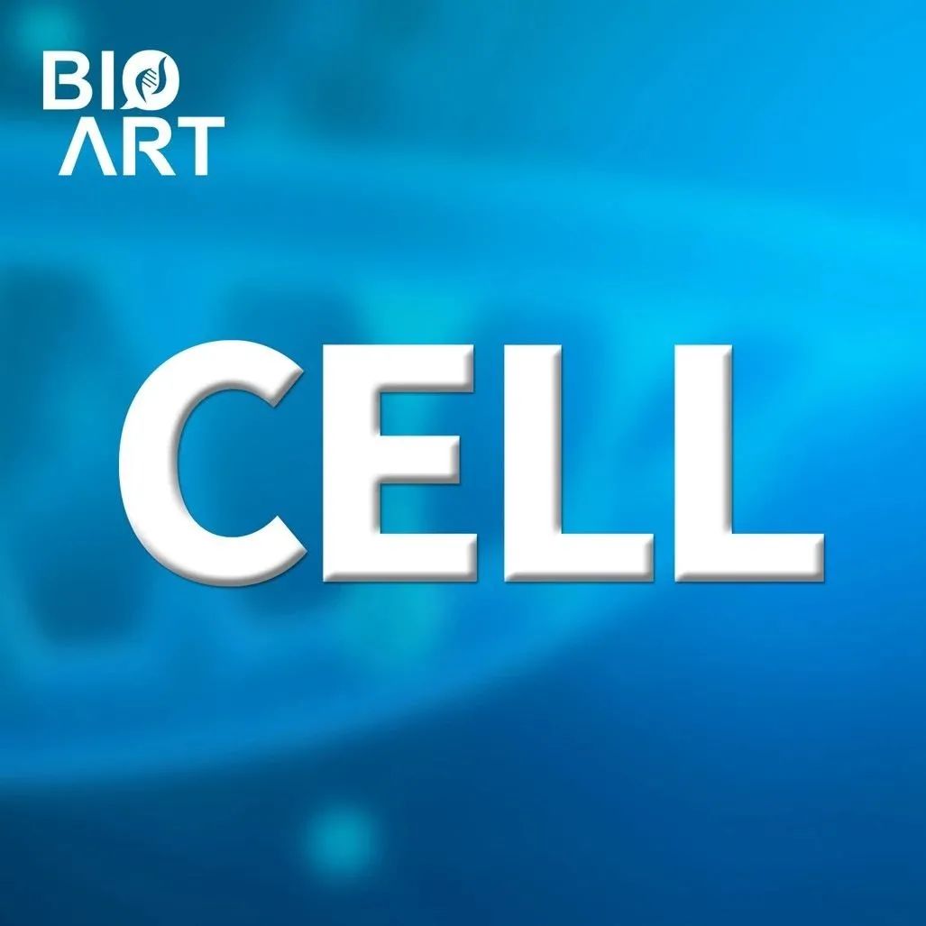 Cell | 刘小乐团队揭示E3泛素化连接酶Cop1调控三阴性乳腺癌免疫治疗的机制
