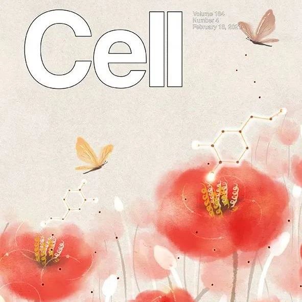 开门红！华西医院连续在国际知名期刊Science、Cell发表重磅文章！