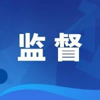 广东省政府“互联网+督查”平台公告
