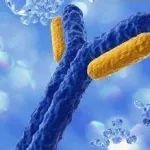 干货丨国产生物新药CDE受理数同环比保持上升趋势，ADC、双抗、CAR-T研发如火如荼