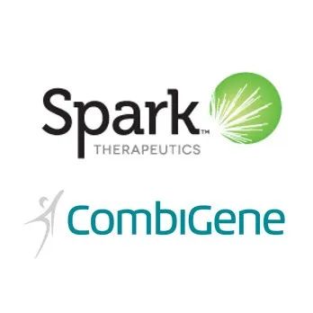 速递 | 约3.8亿美元助力开发基因疗法治疗癫痫，Spark达成合作