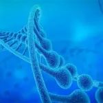 基因修饰技术再突破！首个基因修饰有袋类动物培育成功！
