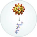 ReAlta Life Sciences完成2000万美元A3轮融资