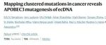 Nature | 30种癌症2583个全基因组数据分析揭示染色体外DNA突变与10%癌症相关