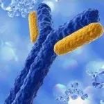 干货丨国产生物新药CDE受理数同环比保持上升趋势，ADC、双抗、CAR-T研发如火如荼