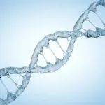 新锐！近邻生物完成种子+轮融资，开发mRNA药物