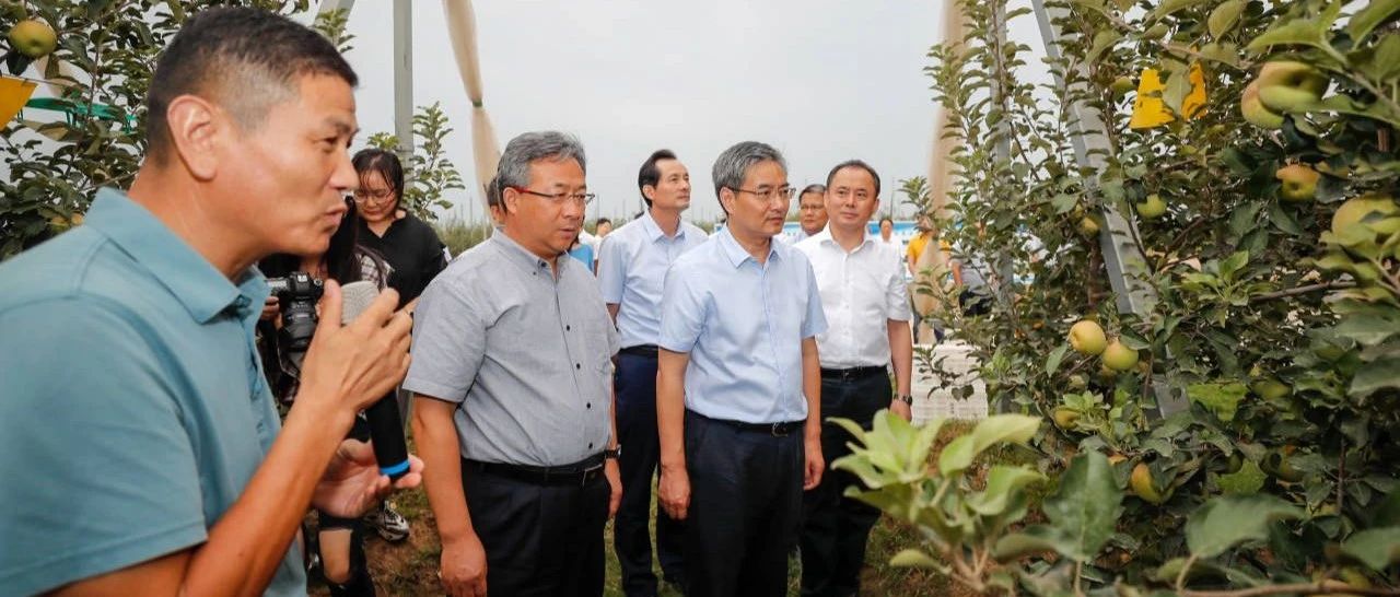 村企联建再落实，再深化！苏州宿迁携手合作迈新步
