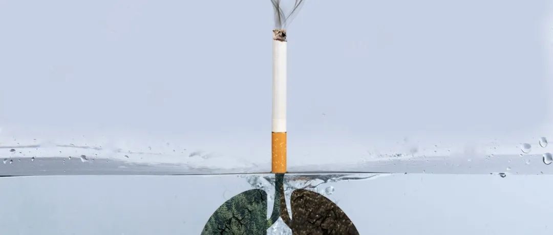 Nature子刊揭示：为何大多数”烟不离手”的人，却没有患肺癌