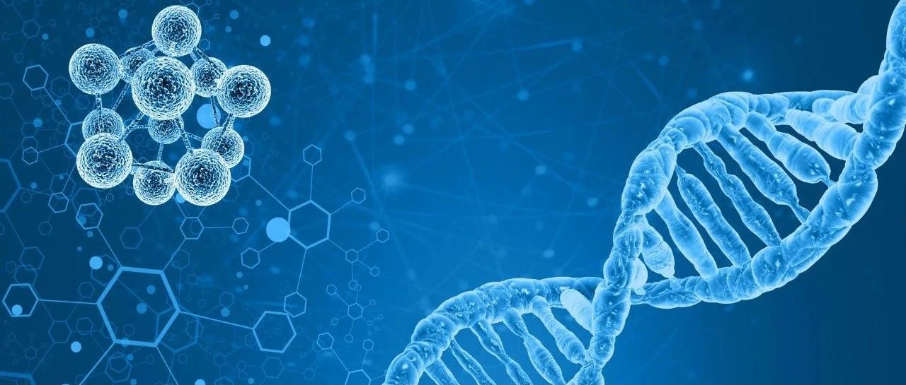 【药研发1208】CRISPR基因编辑疗法最新临床数据公布 | 全球首个治疗史密斯-马吉利综合征药物获批...