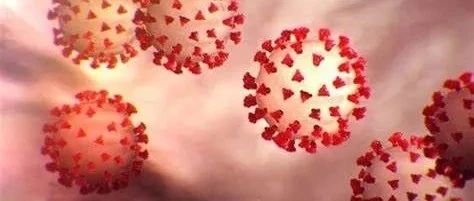 Cell：清华大学和浙江大学联手揭示新冠病毒的分子结构