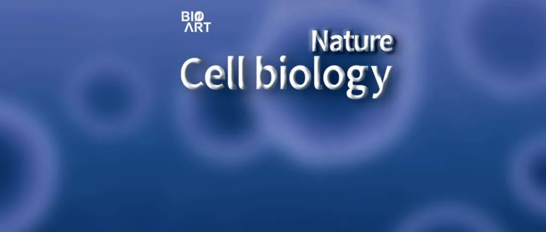 Nature Cell Biology | 何川/刘如娟合作揭示新型RNA去甲基化酶