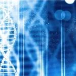 借助VR技术缓解慢性疼痛，新锐完成2900万美元A轮融资