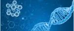 Science：首次发布完整的人类基因组序列