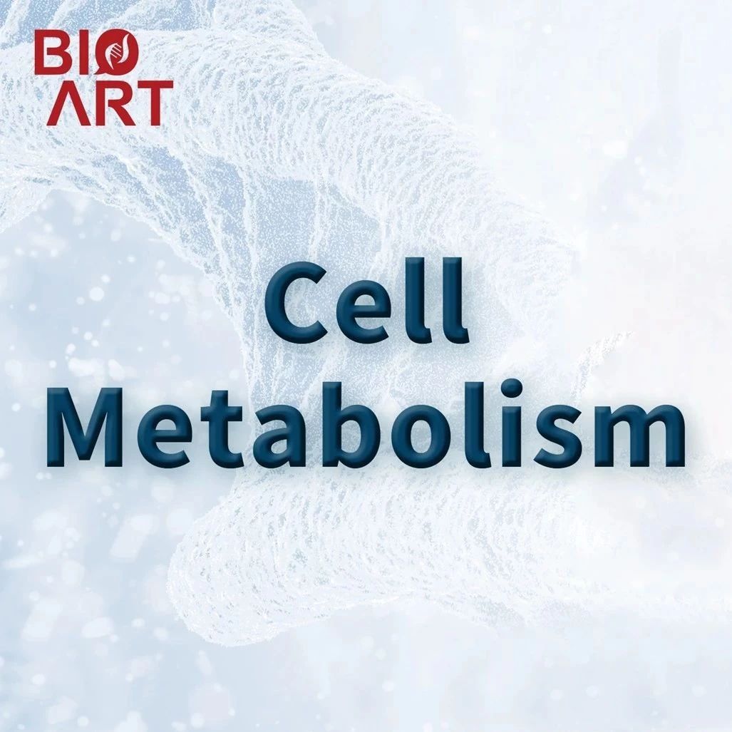 Cell Metab | 刘军力团队揭示贯叶连翘提取物抗肥胖的分子机制