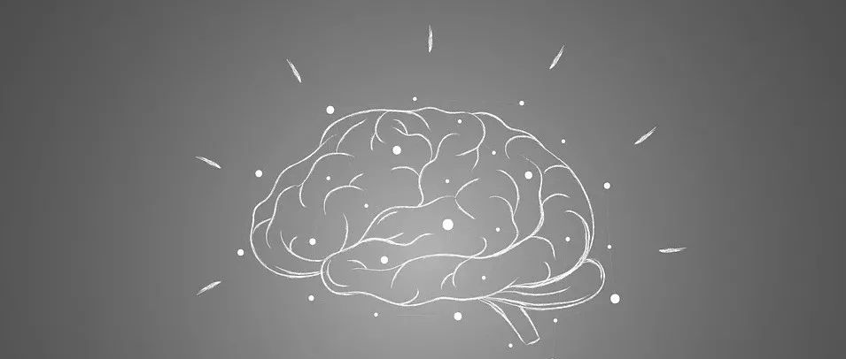 西北农大最新研究：保持大脑“青春”、延缓认知下降，或可通过限制这类氨基酸实现