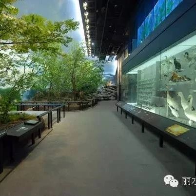 市博物馆“古陆丽水”展厅关闭公告