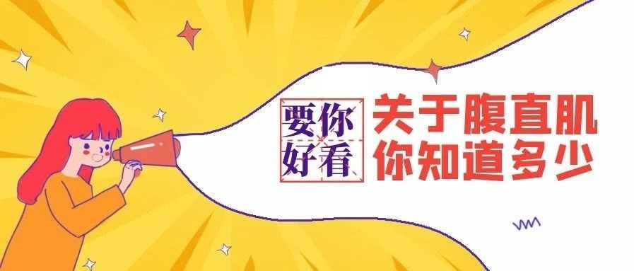 关于腹直肌，你知道多少？