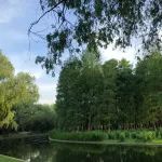 医药行业再现“收购”，多家药企易主！