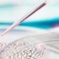 信达生物与驯鹿医疗合作开发的BCMA CAR-T获国家药监局突破性治疗药物认定  用于治疗复发难治性多发性骨髓瘤