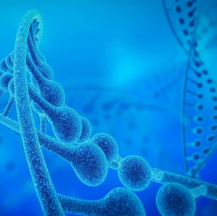 北京天坛医院干细胞临床试验启动 招募缺血性卒中患者