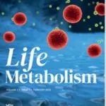Life Metab | 束刚/江青艳揭示AKG/OXGR1通过舒张血管平滑肌调节骨骼肌代谢的新机制