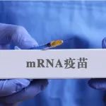 行业前沿|两会透露国产mRNA新冠疫苗研发进展，头号种子选手近了？