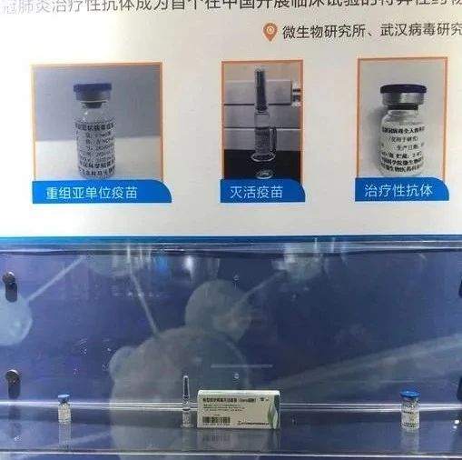 中科院展示年度科技创新成果，新冠肺炎治疗性抗体抢眼